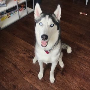 Meet your Posher, Beth